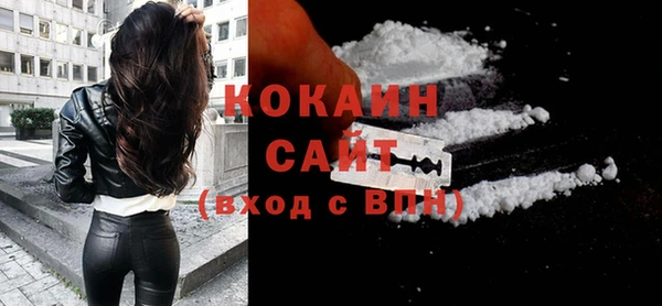 индика Бородино