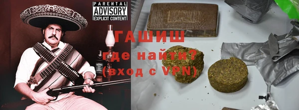 индика Бородино
