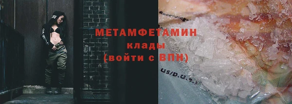 индика Бородино