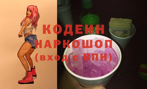индика Бородино