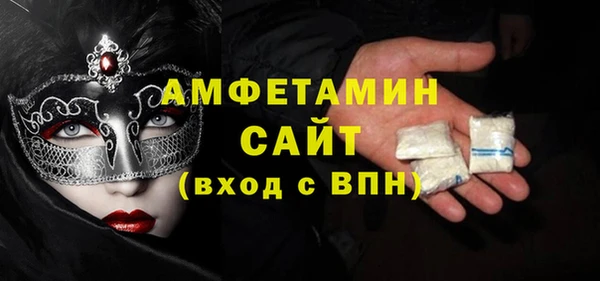 индика Бородино