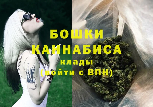 индика Бородино
