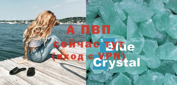 индика Бородино