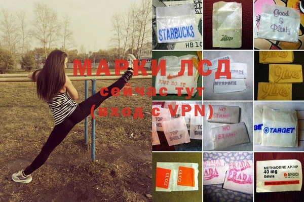 индика Бородино