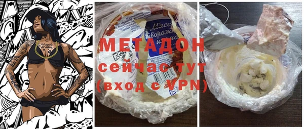 индика Бородино