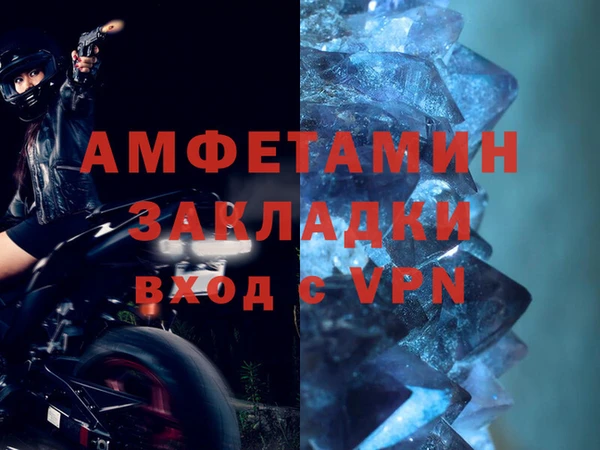 индика Бородино