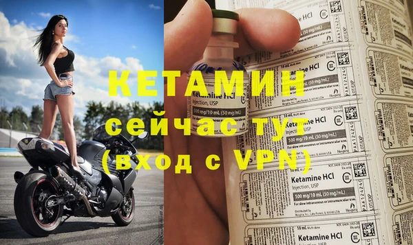 индика Бородино