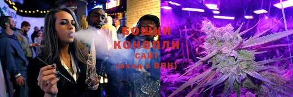 индика Бородино