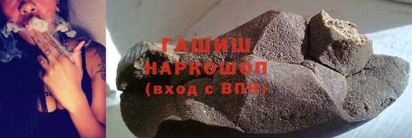 индика Бородино