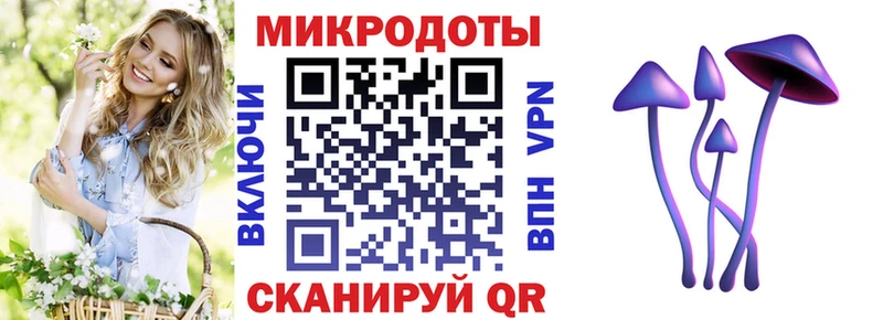 Галлюциногенные грибы Psilocybe Бийск